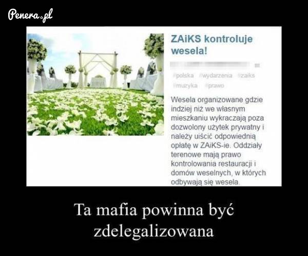 ZAIKS kontroluje wesela