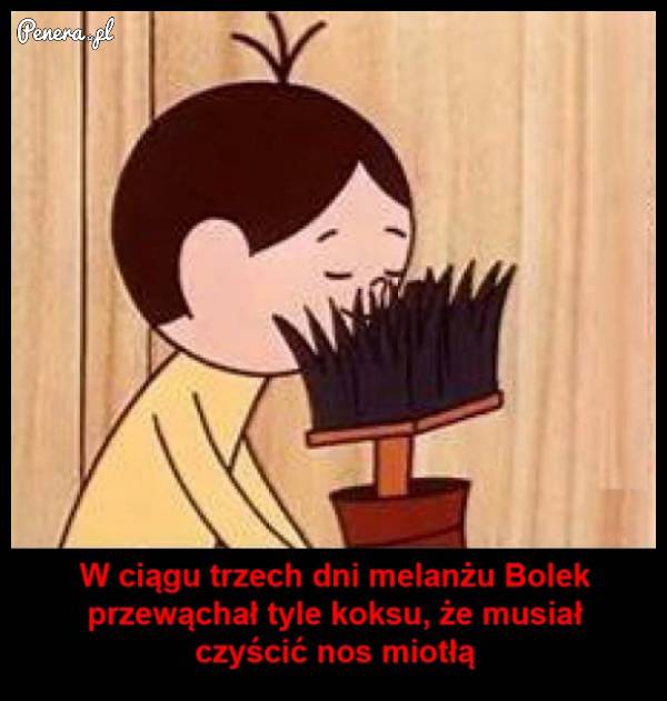 Bolek przesadził w ten weekend :D