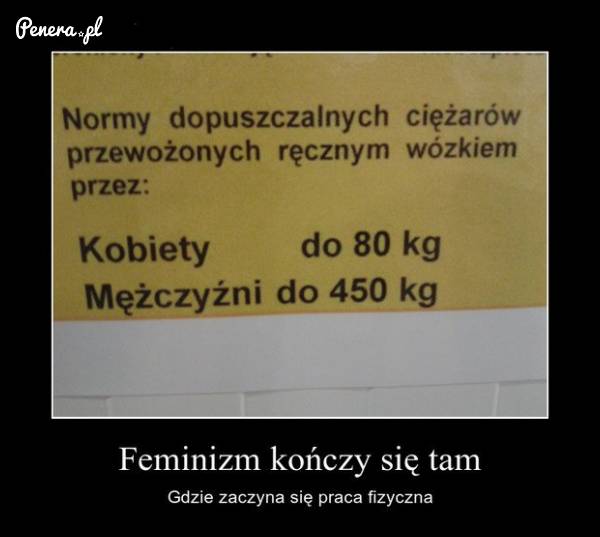 Feminizm kończy się tam gdzie zaczyna się praca fizyczna