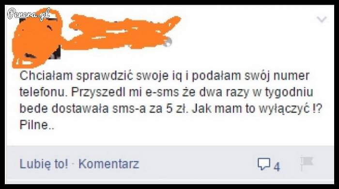 Idiotka chciała sprawdzić swoje IQ