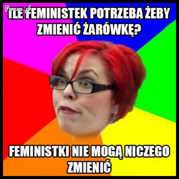 Ile feministek potrzeba do zmiany żarówki :D