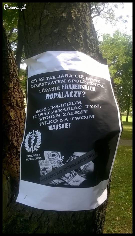 Kampania przeciw dopalaczom na drzewie