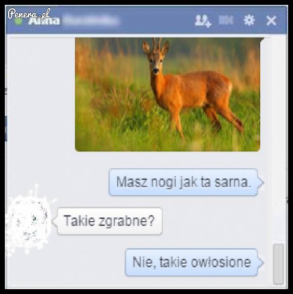 Masz nogi jak ta sarna :D