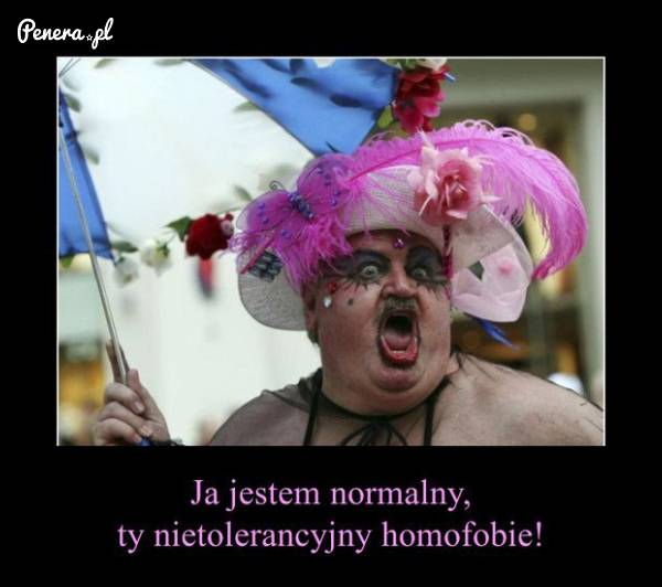 On jest normalny ty nietolerancyjny homofobie!