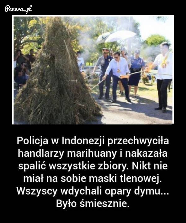 Policjanci upalili się na legalu