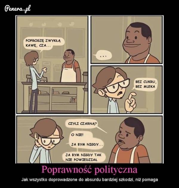 Poprawność polityczna