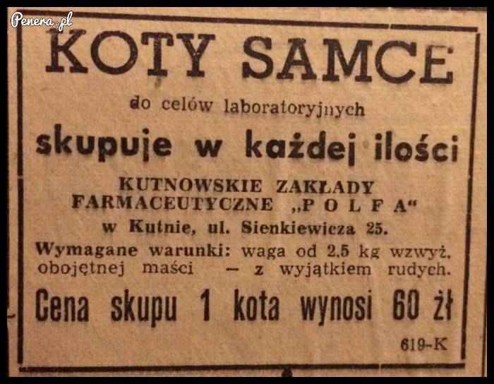 rudych nawet do eksperymentów nie chcieli