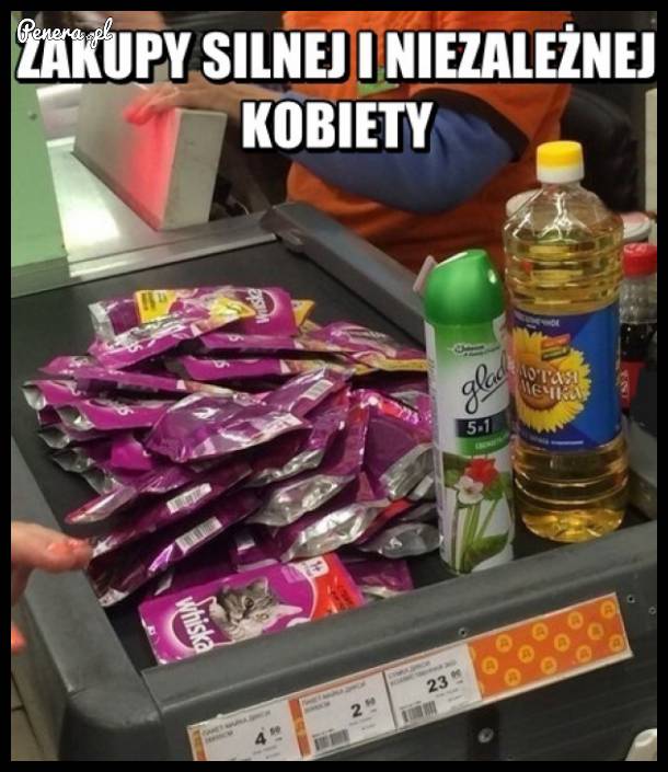 Silna i niezależna kobieta na zakupach