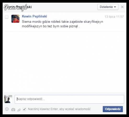 Skaryfikejszyn modyfikejszyn