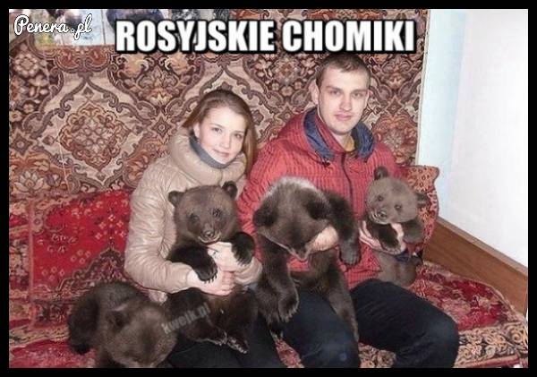 Strasznie im rosną te chomiki...