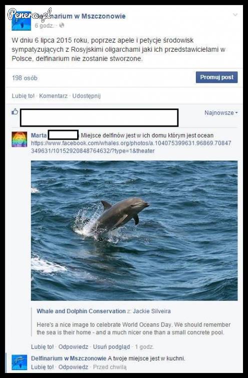 Szybka riposta od delfinarium