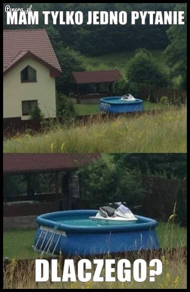 Tylko jedno pytanie...