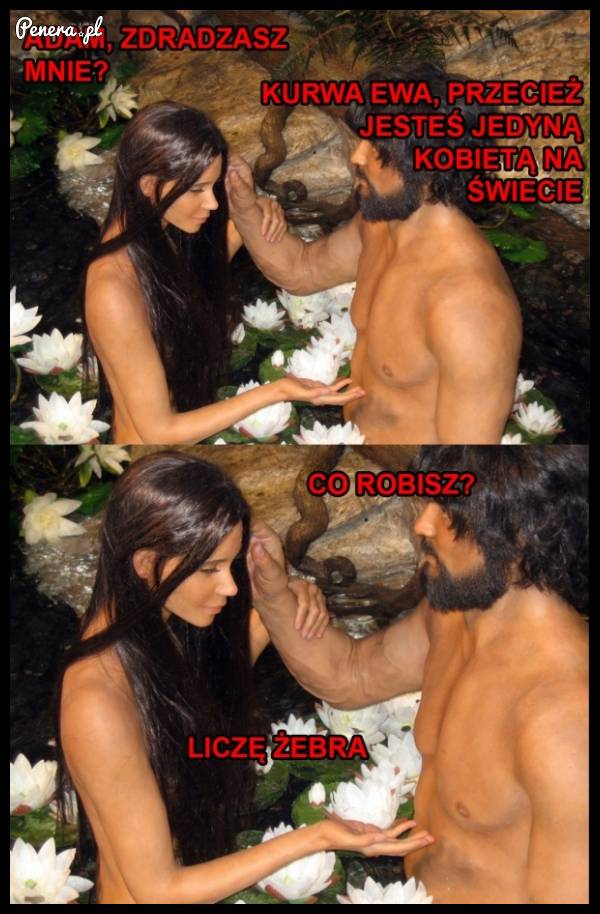 Typowe zachowanie kobiety