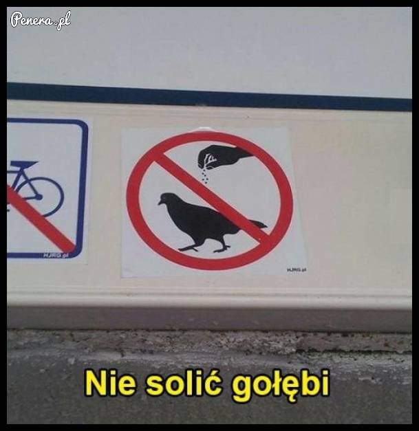 Uwaga! Nie solić gołębi