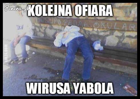 Wirus Yabola ciągle zbiera żniwo...