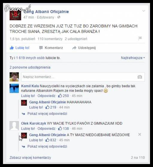 Chłopaki z Gangu Albanii krótko i na temat