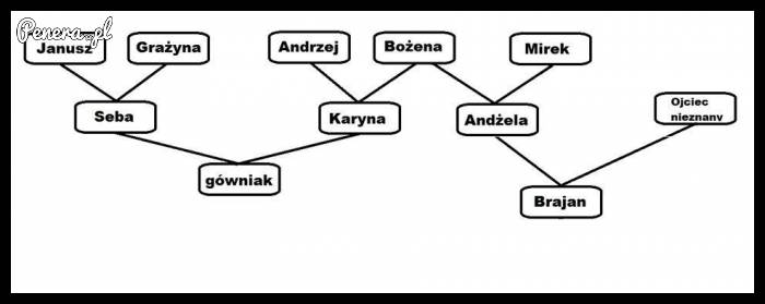 Drzewo genopatologiczne