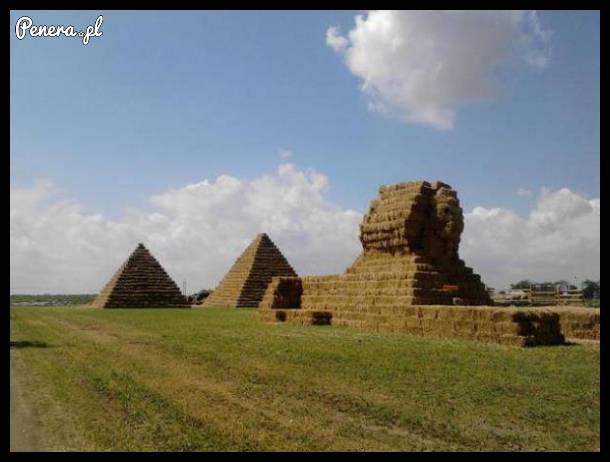 Egipt Polish edyszyn