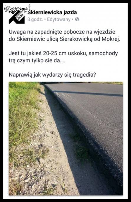 Fachowcy drogę robili...
