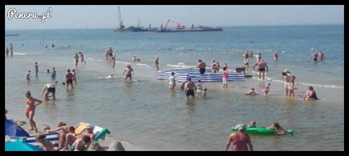 Janusze plażowania level 101