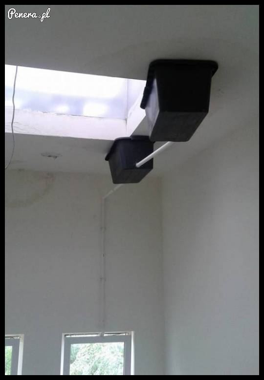 Janusze przyszli naprawić przeciekający dach...