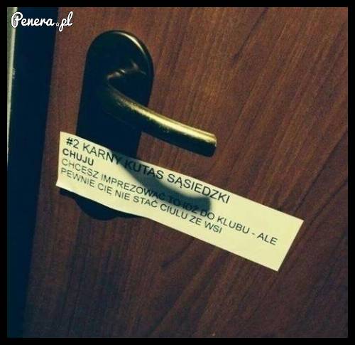 Karny k*tas sąsiedzki