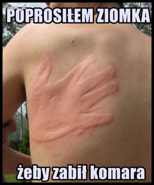 Na kolegów zawsze można liczyć