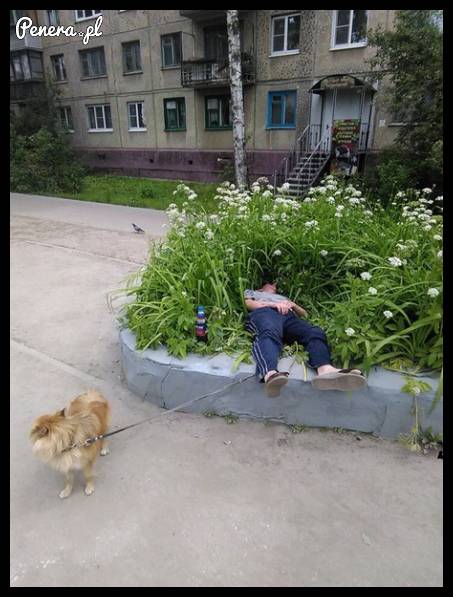 Nie ma to jak wypoczynek na osiedlu