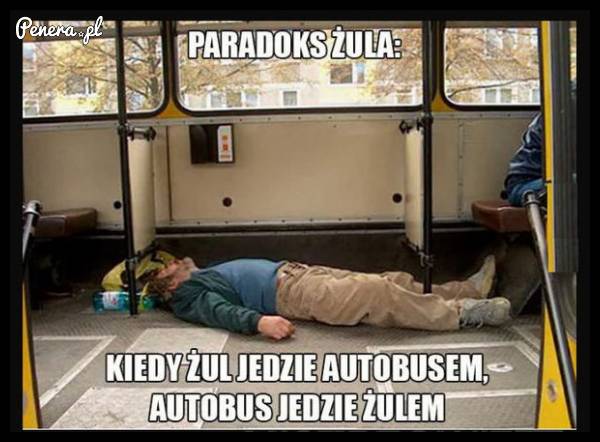 Paradoks żula