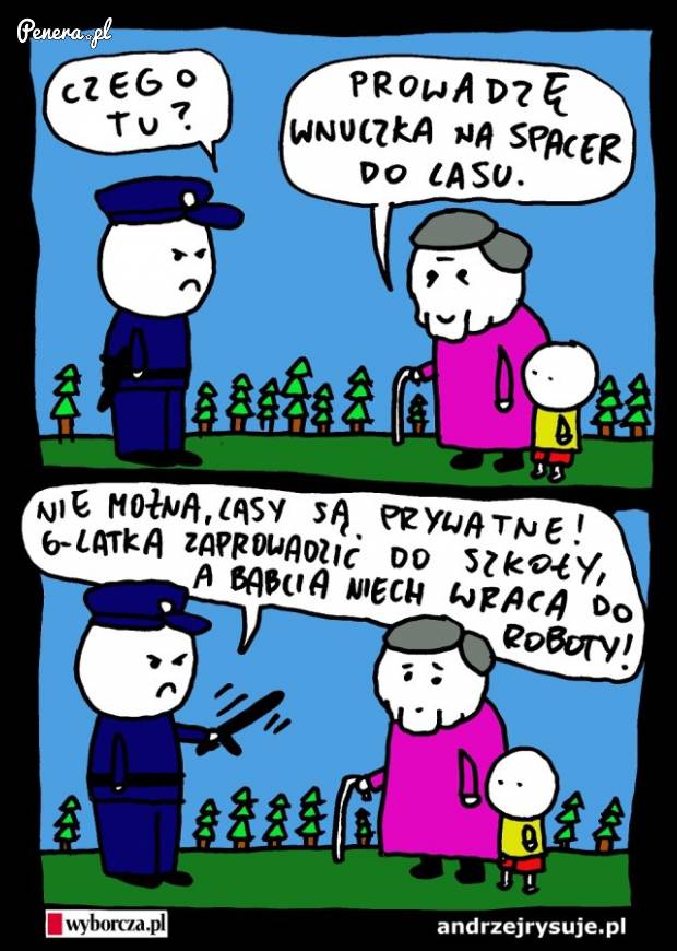 Pięknie i dosadnie o polskiej polityce