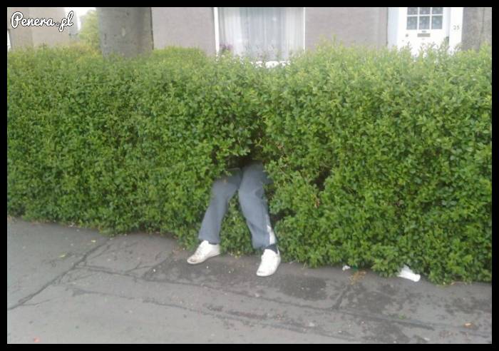 Powrót do domu z imprezy jednak się trochę przedłużył