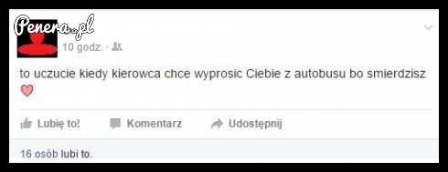 Powrót z Woodstocku