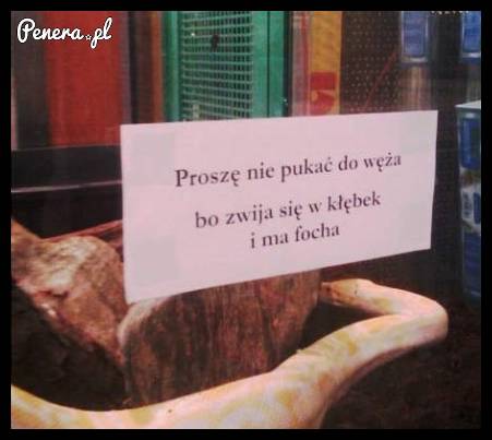 Proszę nie pukać do węża
