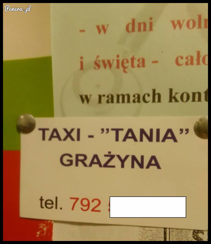 Tania Grażyna się ogłasza