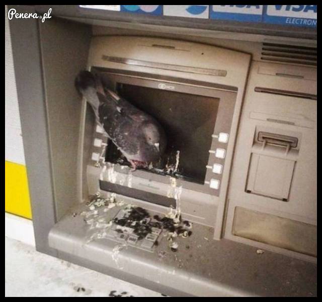 Tymczasem w Krakowie!