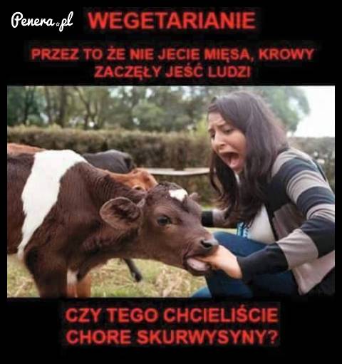 A to wszystko przez wegetarian!