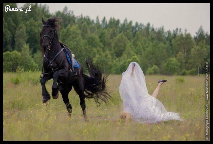 Fotograf mówił że będzie fajna sesja ślubna z koniem