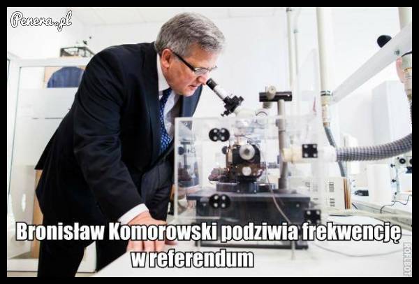 I jak Bronek widzisz coś??