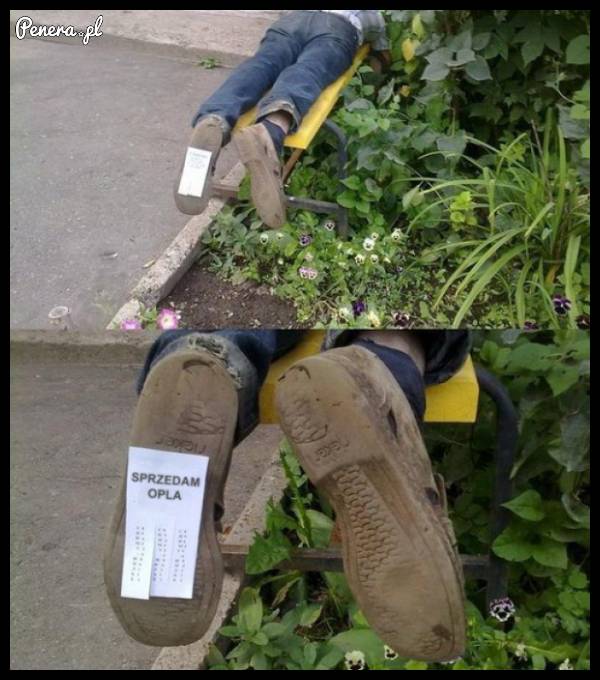 Idealne miejsce na ogłoszenie