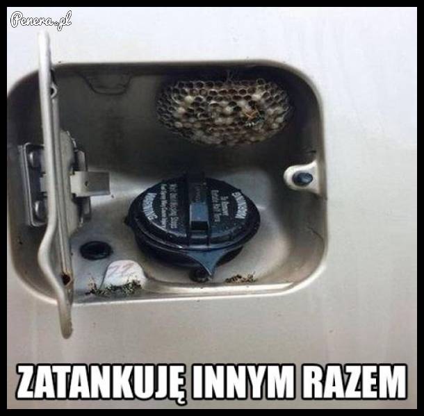 Jednak zatanktuje innym razem