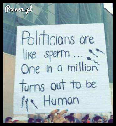 Jedno proste zdanie o politykach