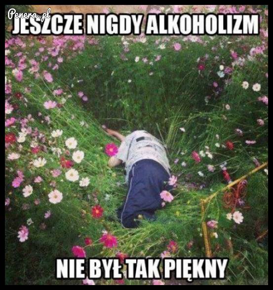 Jeszcze nigdy alkoholizm