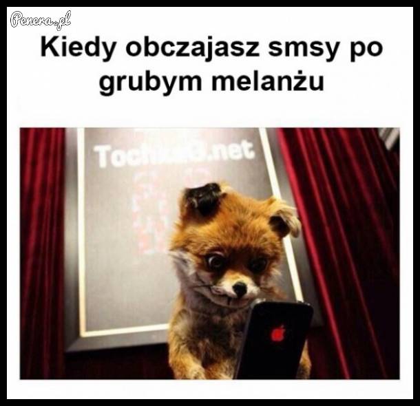 Kiedy obczajasz smsy po grubym melanżu