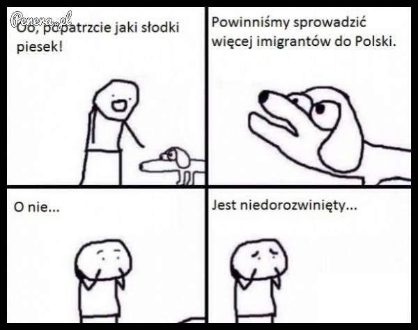 Krótka bajka o słodkim piesku