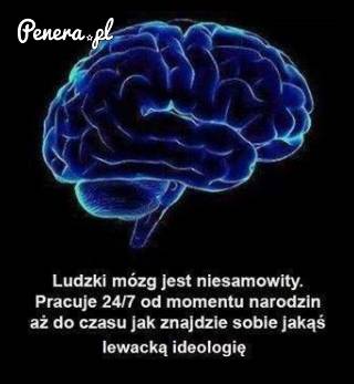 Ludzki mózg jest jednak niesamowity!