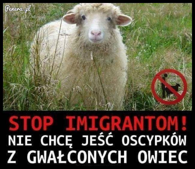 No nie wierzę że ktoś to mógł wymyślić