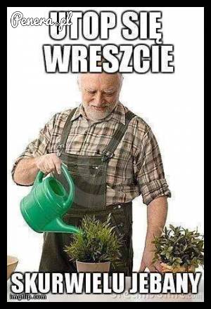 Prawdziwy wczuty ogrodnik