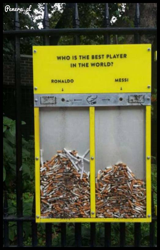 Prosty sposób by ludzie nie rzucali petów gdzie popadnie