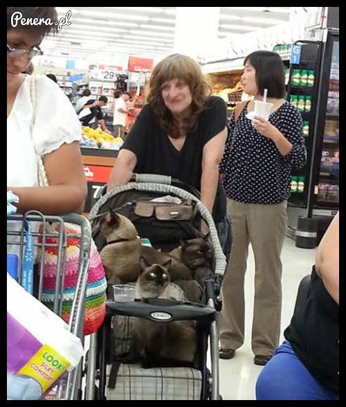 Silna i niezależna kobieta na zakupach