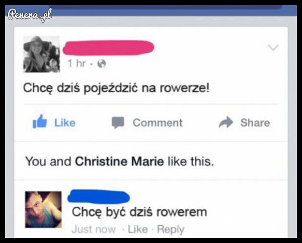 Szybki i trafny komentarz na fejsie to podstawa